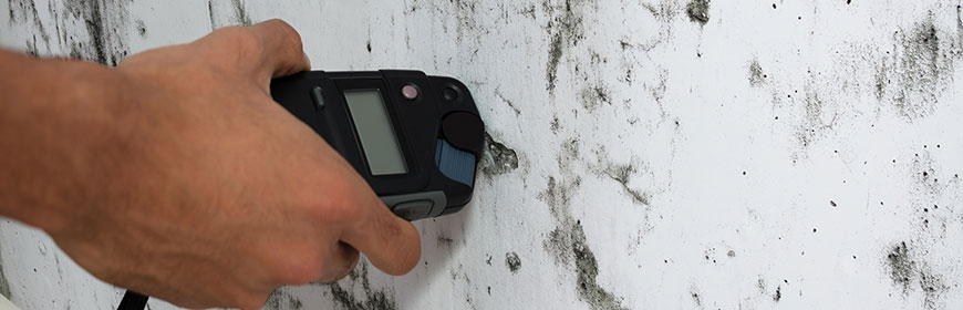 mold inspection monitor